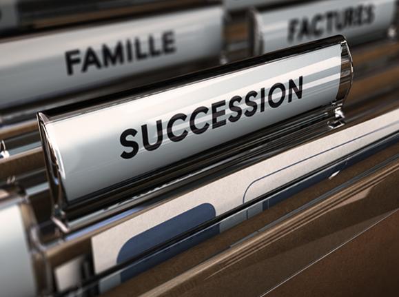 litige succession